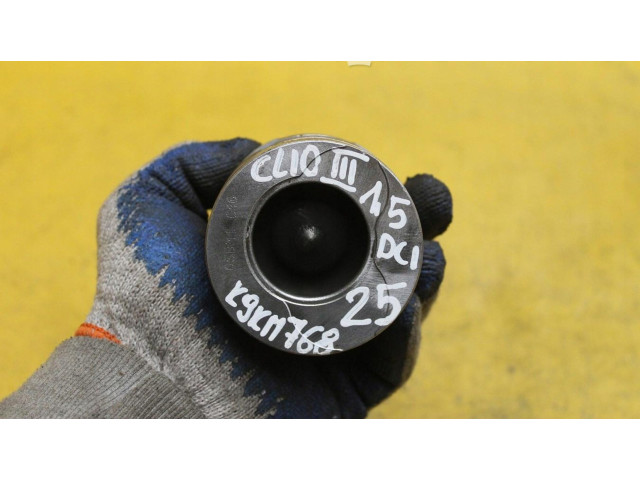 Píst    Renault Clio III     