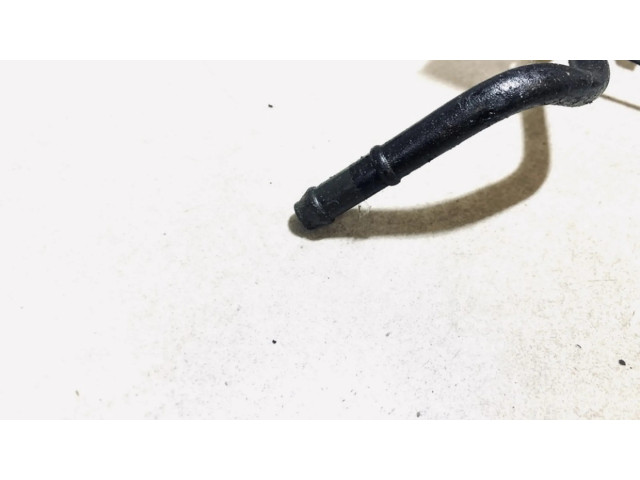 Топливная трубка (трубки)