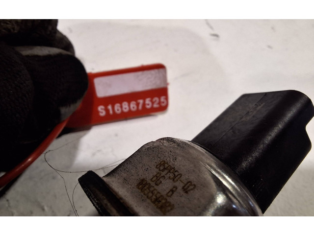 Топливная рампа 9810335380   Citroen C4 II Picasso  