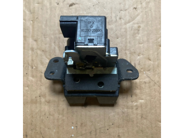 Zámek zadních dveří 812302S000 Hyundai ix35 2011