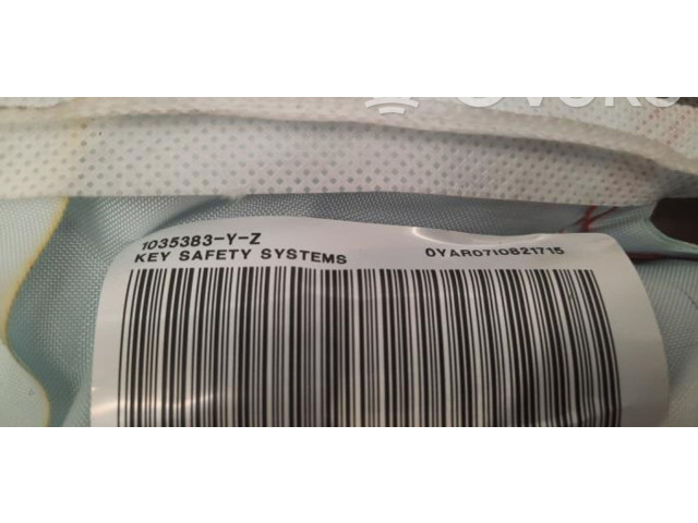 Боковая подушка безопасности 6V0880742E Skoda Fabia Mk3 (NJ)