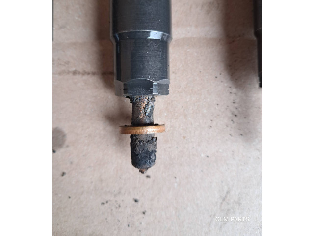 Комплект форсунок 9686191080 Citroen DS4