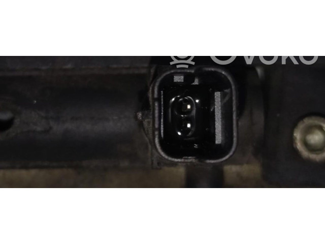 Топливная рампа Lancia Phedra