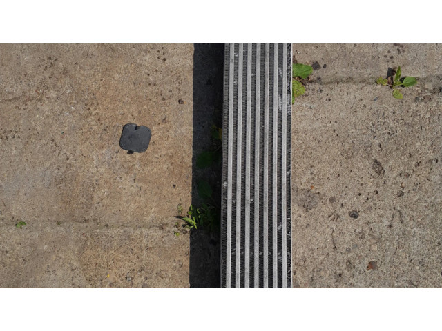 Интеркулер     Dacia Duster 1.5