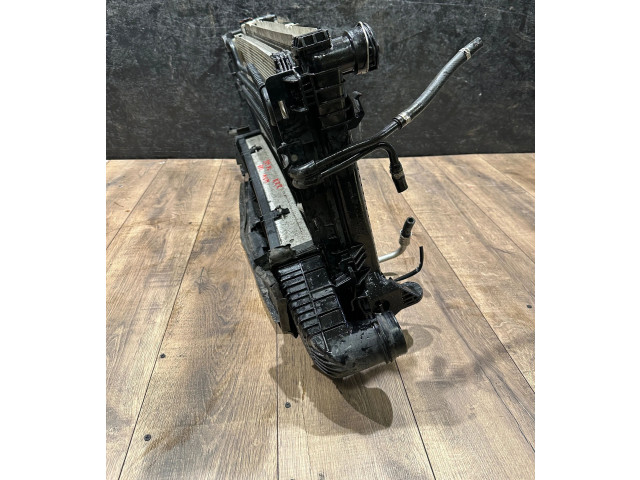 Pojistková skříňka Комплект радиатора 67167, 048222 Mercedes-Benz C W204 2012