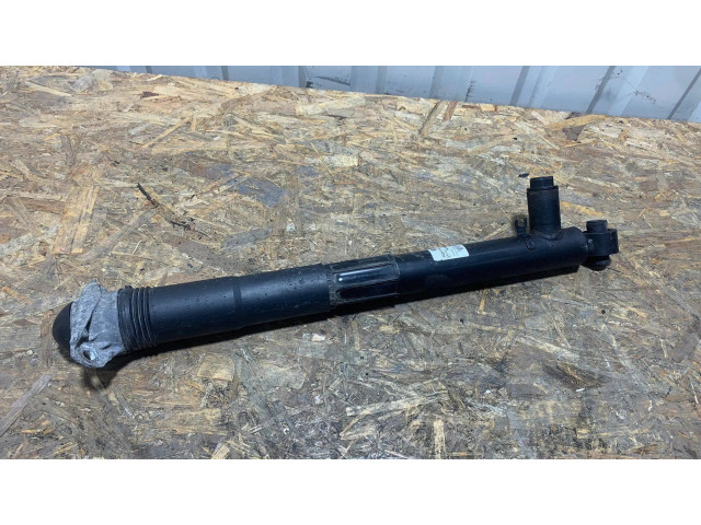 Задний aмортизатор      