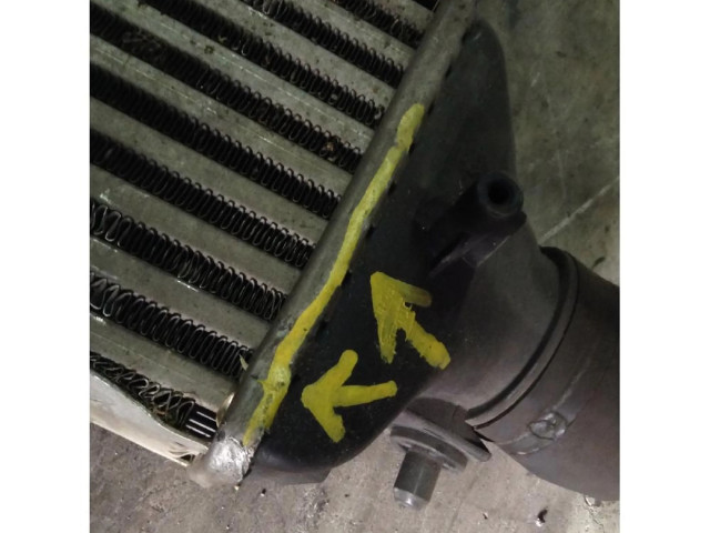 Интеркулер     Fiat Bravo 1.4