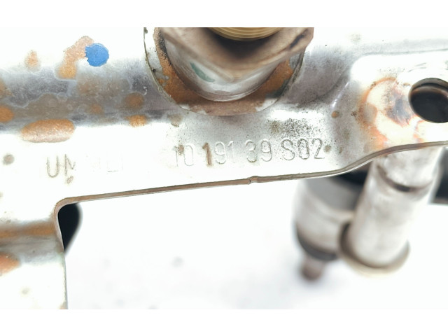 Комплект форсунок 1019139S02, 06J133317M Audi Q5 SQ5 CHJ