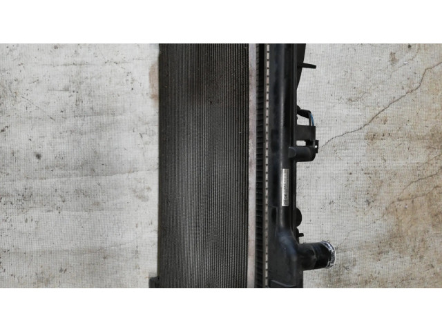 Комплект радиатора