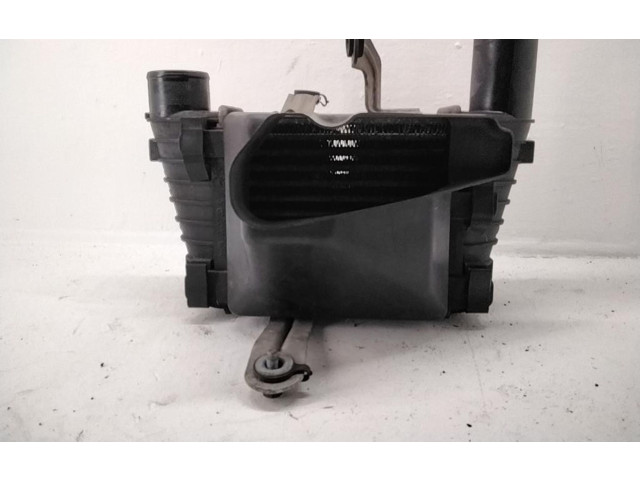 Интеркулер 639939 Smart ForFour I