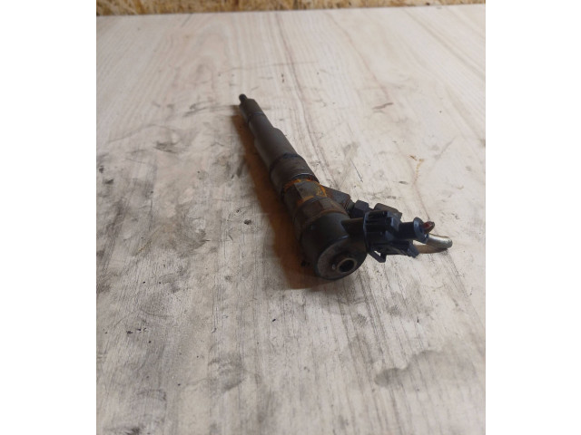 Vstřikovač 0445110030 Rover 75