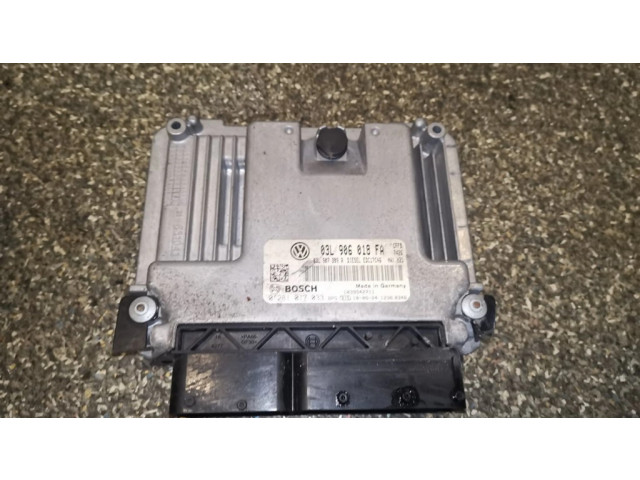 Řídící jednotka 03L906018FA, 0281017033 Volkswagen Tiguan 2011