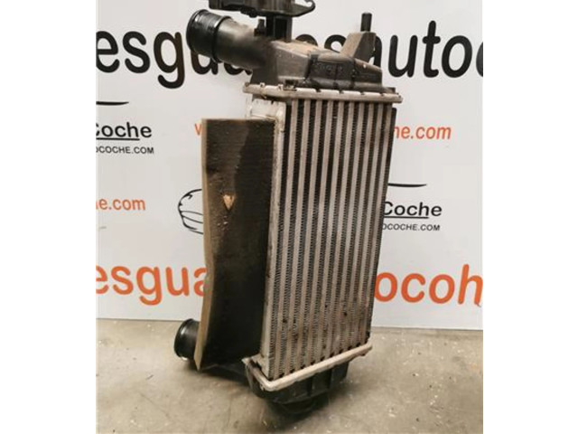 Интеркулер Ford Ecosport