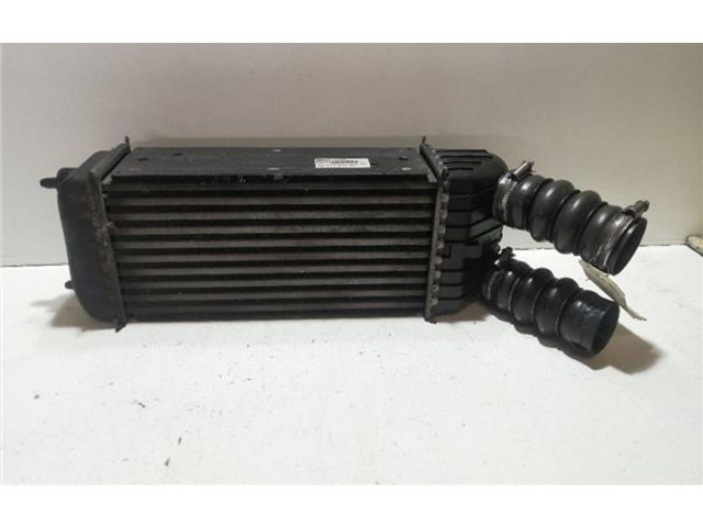 Řídící jednotka 9651184880, 9651184880 Peugeot 207 2007