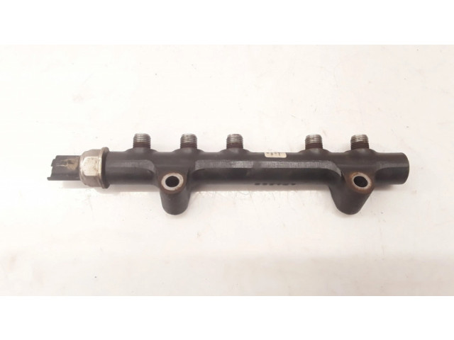 Vstřikovací lišta 9685297580, 94675G01 Citroen Berlingo pro naftový motor 1.6 9HN 9H06