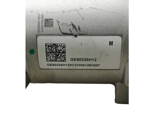 Volant Tesla Model S 2020 GE80226H12, GE80226H120C