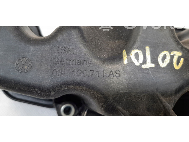 Подушка безопасности двери 03L129711AS, 03L129711AS   Volkswagen Amarok