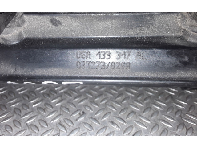 Топливная рампа 06A133317AC   Audi A3 S3 8P  