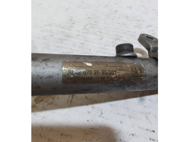 Vstřikovací lišta A6420702695, 0631500368   Mercedes-Benz S W221     