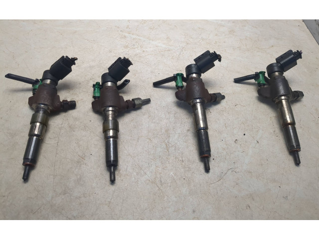 Комплект форсунок 50274v05, 9802448680 Citroen DS4 Dv6c