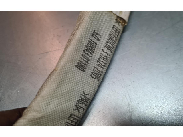 Боковая подушка безопасности 8200025442, 10884301180   Renault Trafic II (X83)