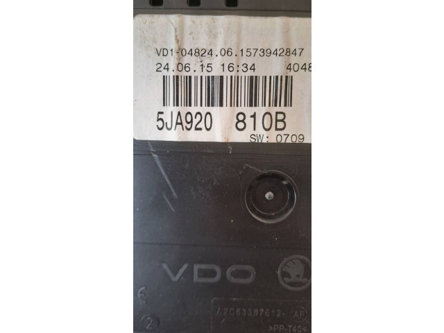 Панель приборов 5JA920810B, VD10482406   Skoda Rapid (NH)       