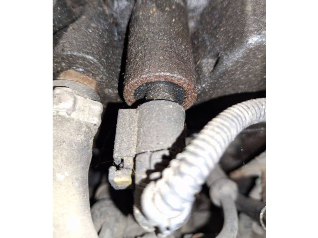 Vstřikovač    Fiat Punto (188)     