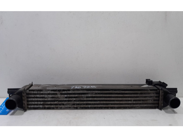 Интеркулер  176728   Citroen Nemo 