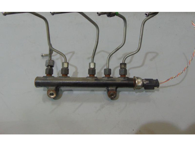 Vstřikovací lišta 9685297580 Citroen C3