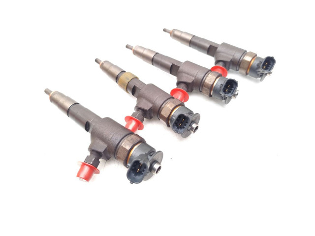 Комплект форсунок 0445110739    Peugeot Expert  9HM(DV6UC) 