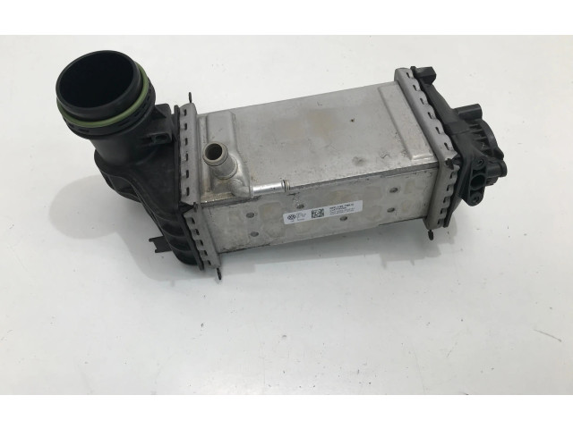 Интеркулер 05C145785C Volkswagen Golf VIII