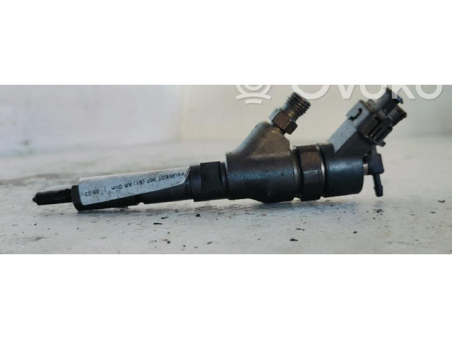Vstřikovač 0445110062   Peugeot 307    RHYDW10TD 