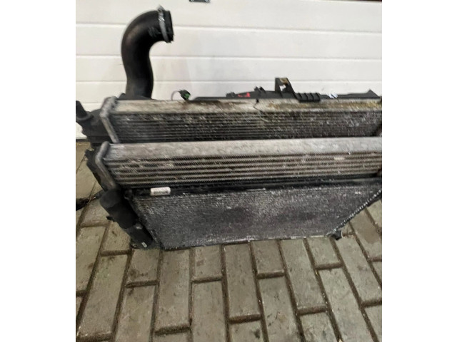 Комплект радиатора     CX2319710AB, 9400116    Jaguar XF X250 