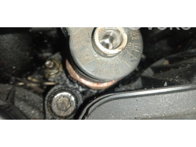 Форсунка 0445110216, 7793836 BMW X3 E83