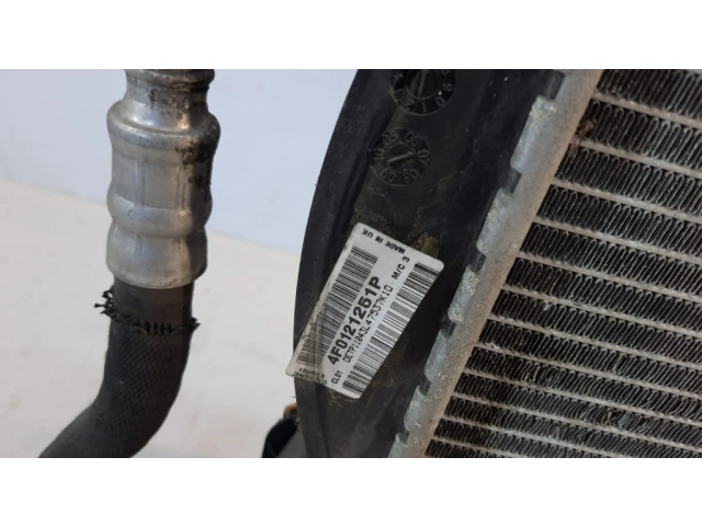 Комплект радиатора