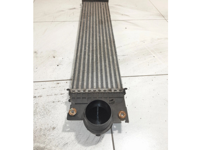 Интеркулер  E1G36K775JA   Ford S-MAX 