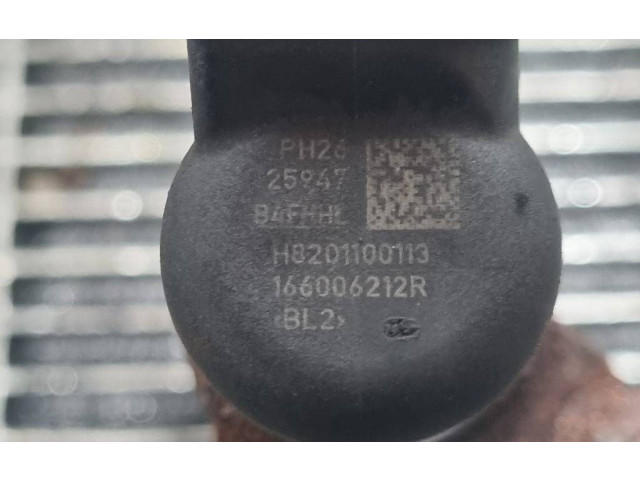 Жиклер (жиклеры) (форсунка (форсунки) 166006212R, H8201100113   Dacia Duster    