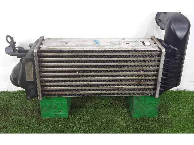 Интеркулер 9637809480-IA1008, 137X301X86 Peugeot 607