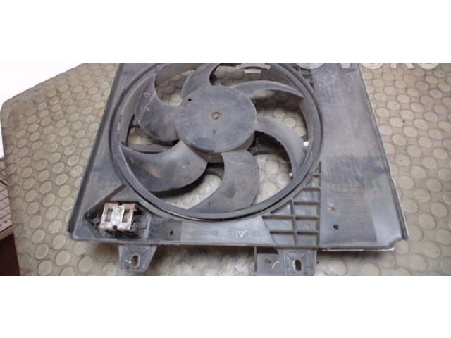 Pojistková skříňka Крыльчатка вентилятора 965380408001, 9812028580 Peugeot 207 2007