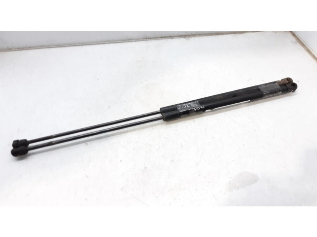 Пружина (пружины) задней крышки