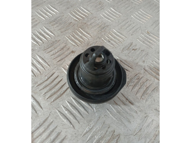 Řídící jednotka 55195817 Fiat Punto (188) 2003