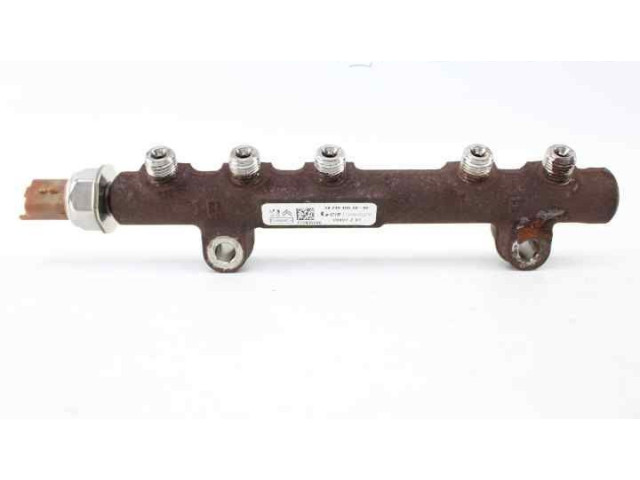 Топливная рампа 9824940080, 9676643880   Citroen C4 II Picasso  