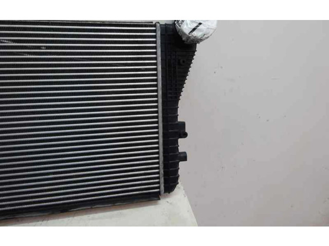 Интеркулер Skoda Octavia Mk2 (1Z)