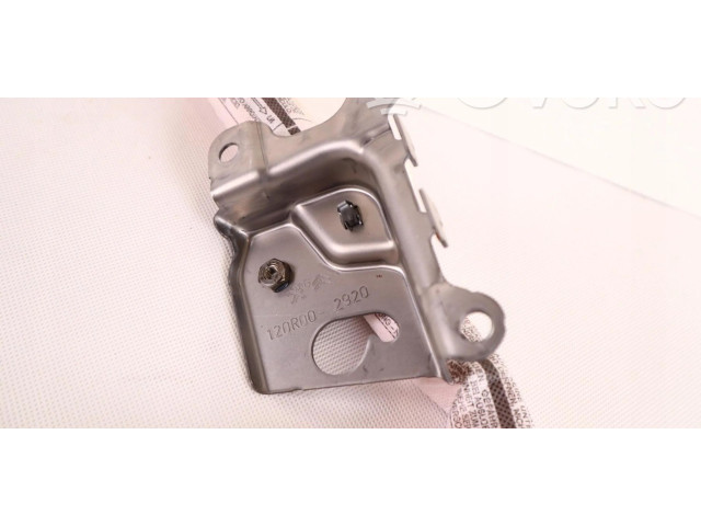 Боковая подушка безопасности 0589-P1-000118   Citroen Berlingo