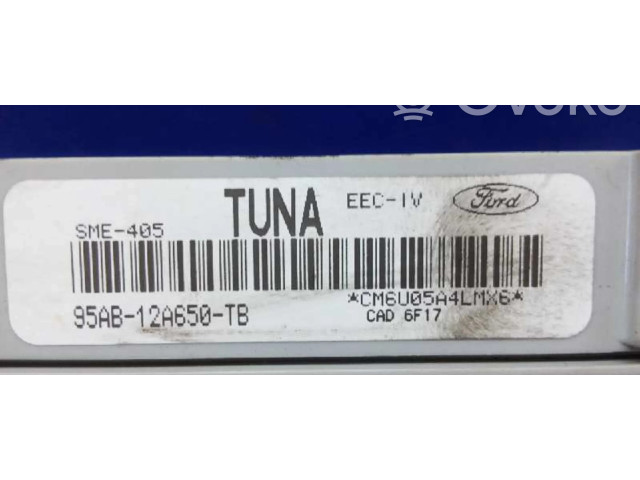 Блок управления двигателя 95AB12A650TB, CM6U05A4LMX6 Ford Escort