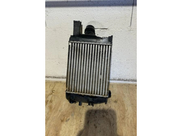 Интеркулер Dacia Duster