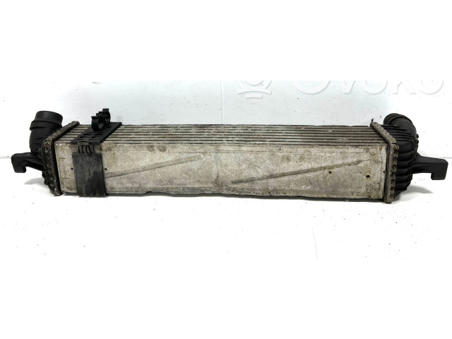 Интеркулер  144960001RG, 144960001R   Renault Laguna III 2.0