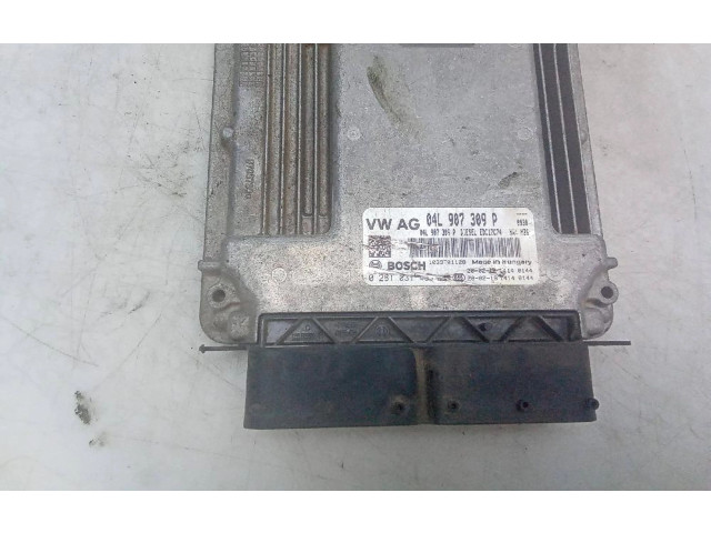 Řídící jednotka 04L907309P Volkswagen Tiguan 2008
