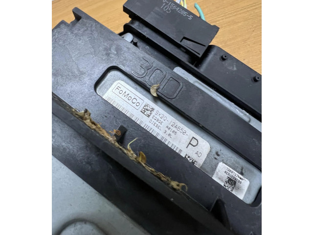 Řídící jednotka 9X2Q12A650, F2074 Jaguar XF X250 2009