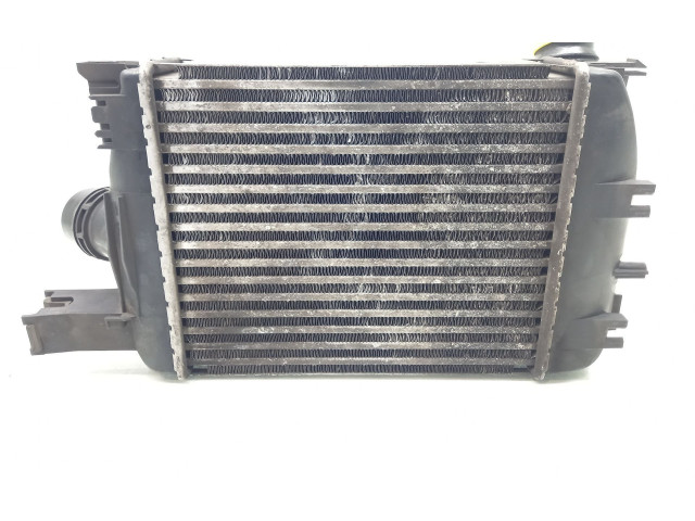 Интеркулер 144966051R Dacia Duster